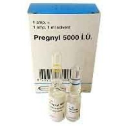 Organon Ilaclari, Turkey HCG Pregnyl 5000iu