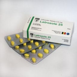 Hilma Biocare Letrozole 25 (Hilma)