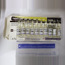 PanPharma Testosterone Enanthate